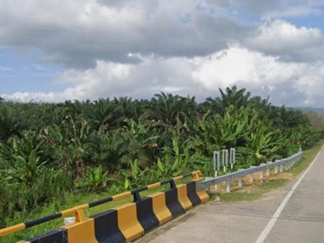 Shop for sale in Segamat, Johor