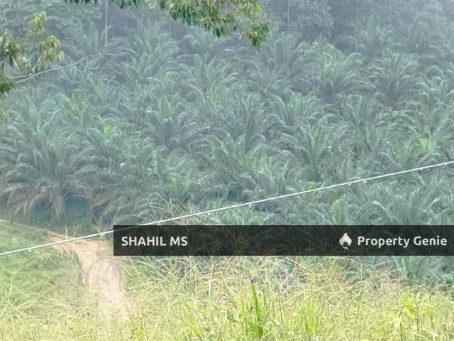Property for sale in Labis, Johor