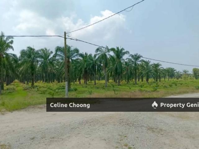 Property for rent in Segamat, Johor