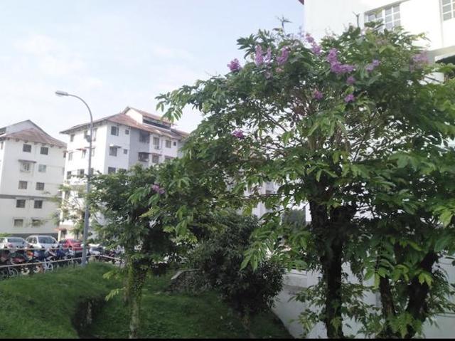 Apartment for sale in Cheras