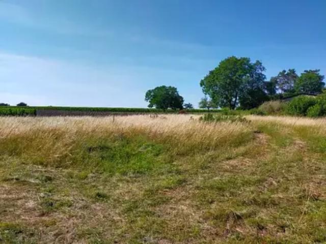 Terrain vente à Cognac, Segonzac