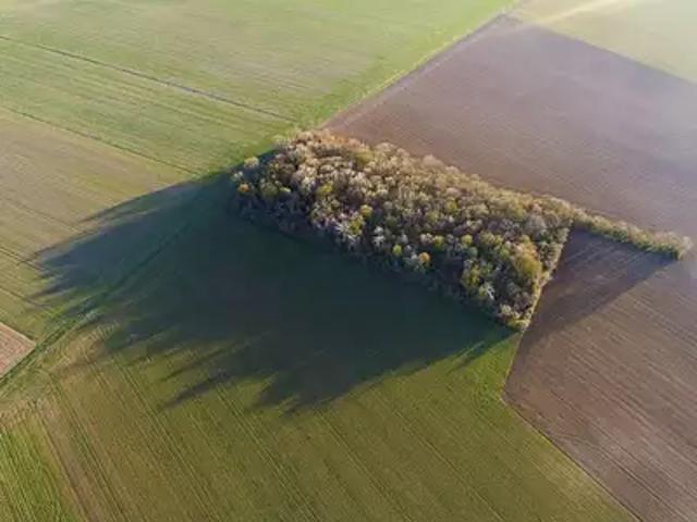 Terrain vente à Segré