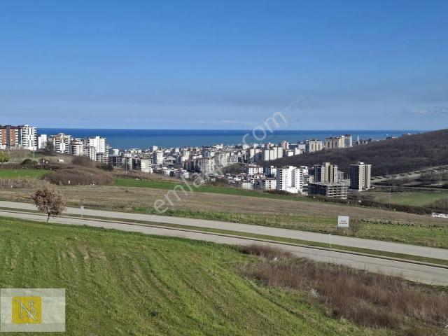 Atakum, Samsun içerisinde satılık mülk