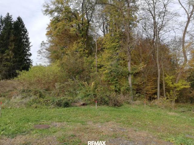 Grundstück kaufen in Ehrenhausen, Steiermark
