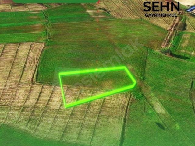 Tekkeköy, Samsun içerisinde satılık Dükkan