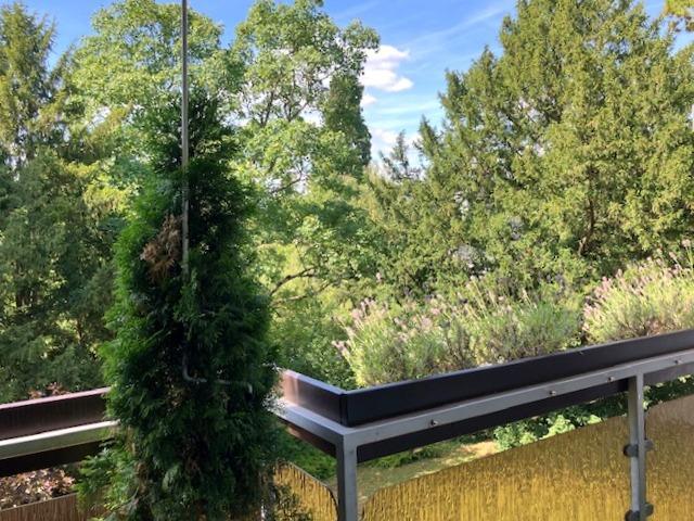 Wohnung kaufen in Sonnenberg, Wiesbaden