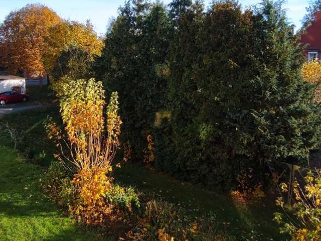 Wohnung mieten in Kietz, Hagenow