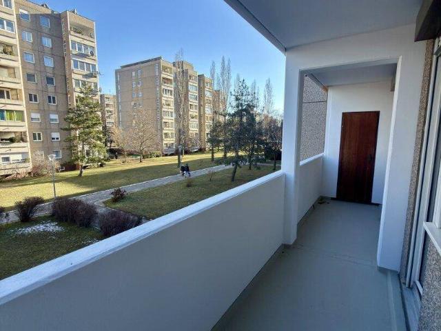 Apartment mieten in Wiener Neudorf, Niederösterreich