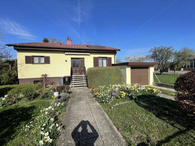 Haus kaufen in Oslip/Uzlop, Oslip