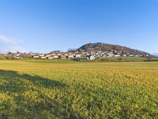 Einfamilienhaus kaufen in La Croix, Lutry, Waadt