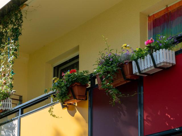 Apartment mieten in West, Leipzig