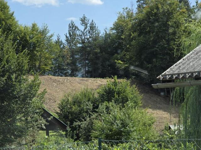 Grundstück kaufen in Göltschach, Maria Rain