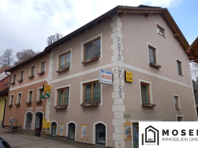 Gewerbe kaufen in Mariahof, Steiermark