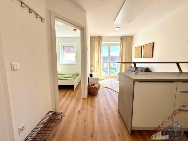 Apartment mieten in Fischamend, Niederösterreich