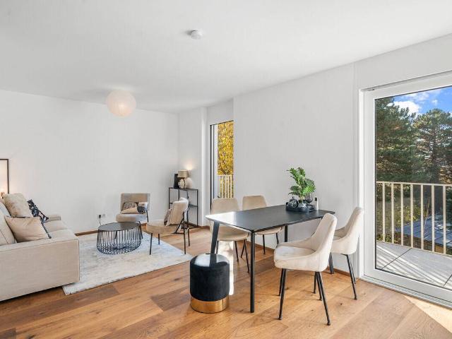 Apartment kaufen in Donaustadt, Wien