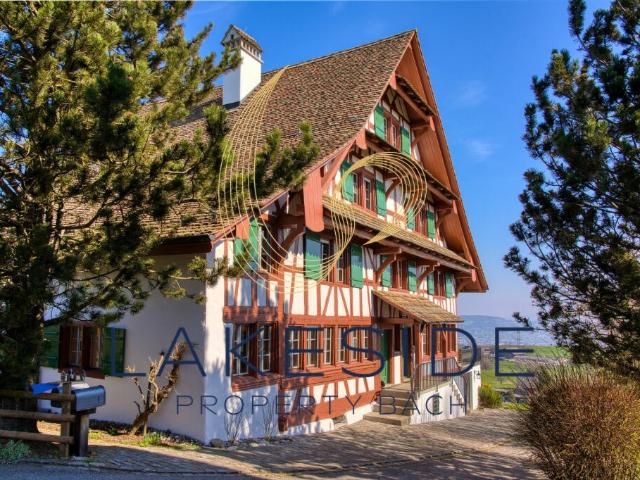 Wohnung mieten in Horgen, Zürich