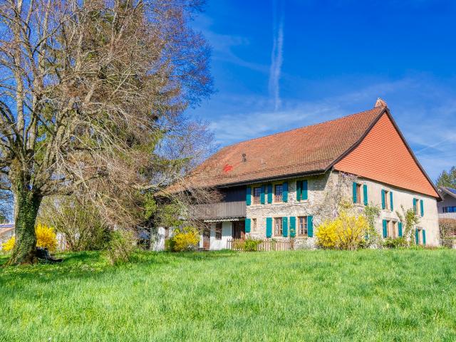 Landwirtschaft kaufen in Vulliens, Waadt