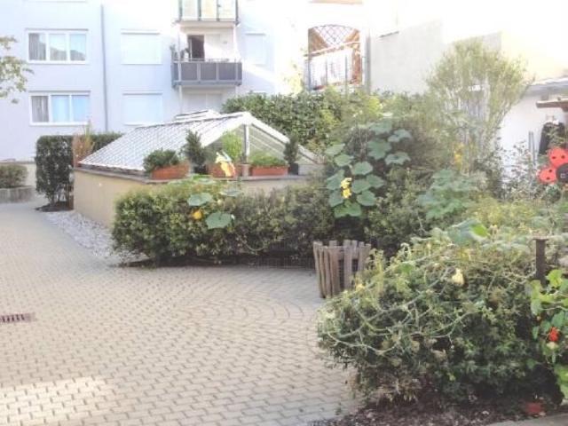 Wohnung mieten in Wels