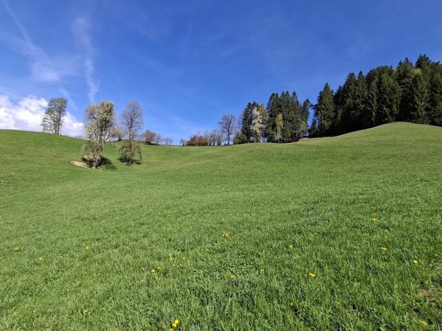 Landwirtschaft kaufen in St. Johann in Tirol, Tirol