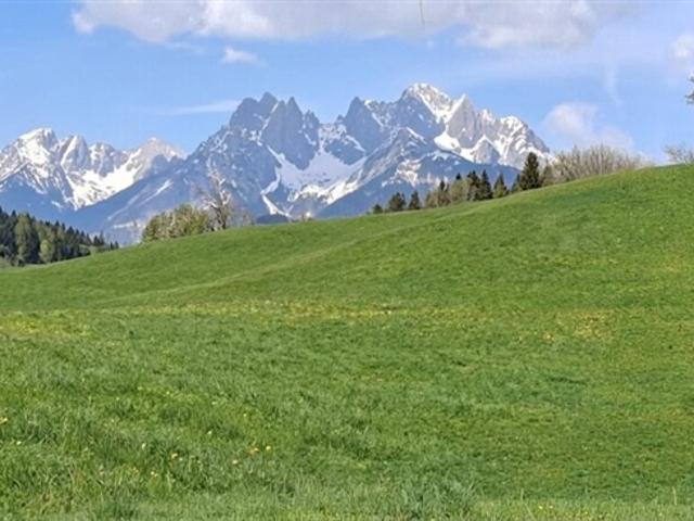 Immobilie kaufen in St. Johann in Tirol, Tirol