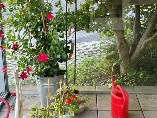Apartment mieten in Lustenau, Bezirk Dornbirn