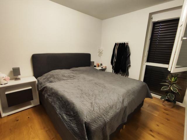 Wohnung mieten in Sinabelkirchen, Steiermark