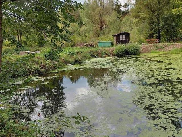 Grundstück kaufen in Niederösterreich