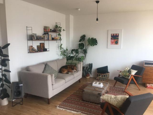 Apartment mieten in Mitte, Berlin