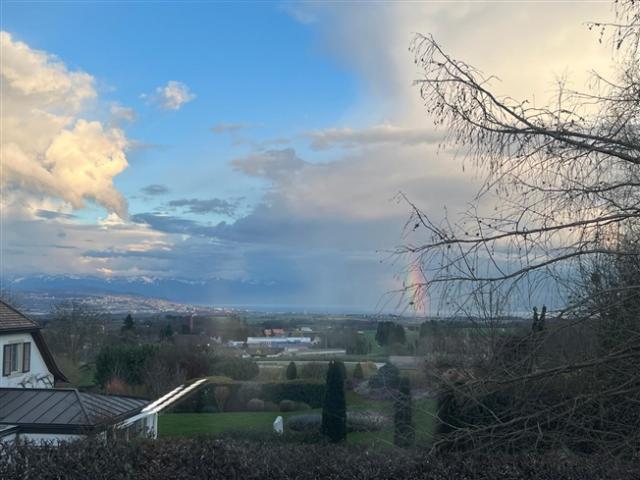 Reihenfamilienhaus kaufen in Pampigny, Waadt