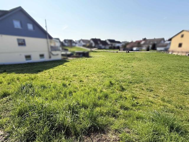 Landwirtschaft kaufen in Sinsheim, Baden-Württemberg
