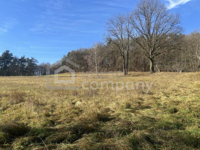 Grundstück kaufen in Minihof-liebau, Burgenland