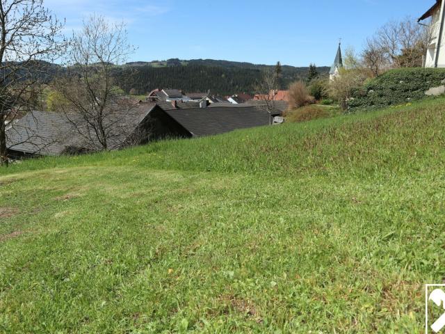 Grundstück kaufen in Weitersfelden, Oberösterreich