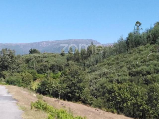 Terreno venda em Guarda, Seia