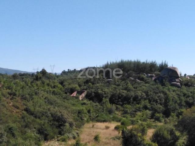 Terreno venda em Guarda, Seia