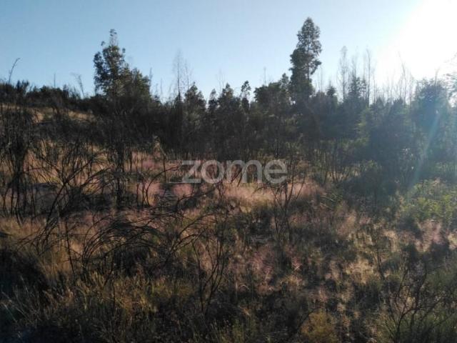 Terreno venda em Guarda, Seia