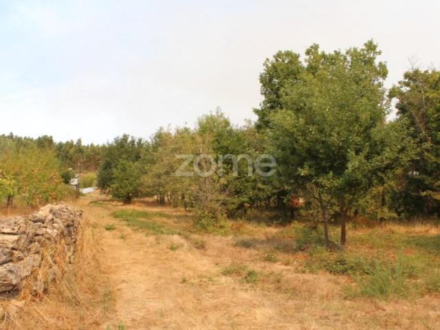 Terreno venda em Guarda, Seia