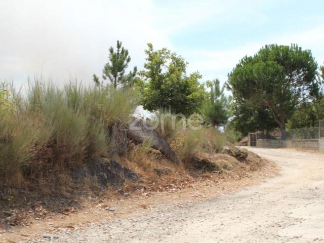 Terreno venda em Guarda, Seia