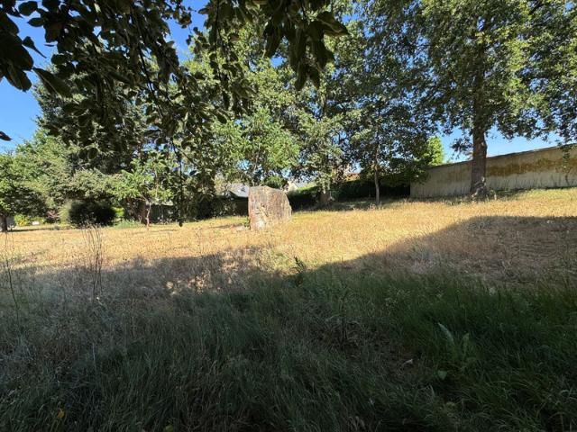 Terrain vente à Angers, Seiches-sur-le-loir