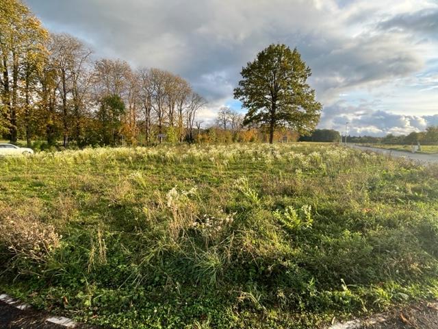 Terrain vente à Auxerre, Seignelay