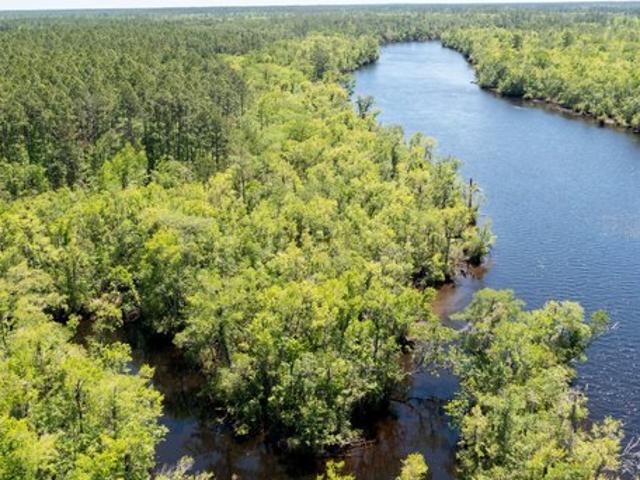 Land for sale in Kingsland, Georgia