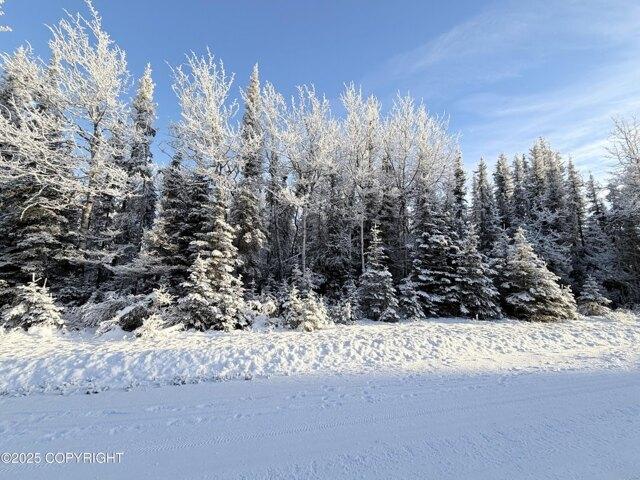 Land for sale in Kasilof