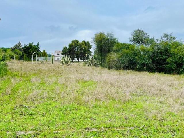Terreno venda em Seixal, Fernão Ferro