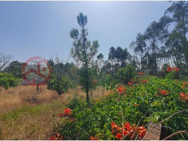 Terreno venda em Seixal, Setúbal