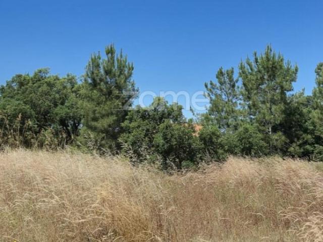 Terreno venda em Seixal, Setúbal