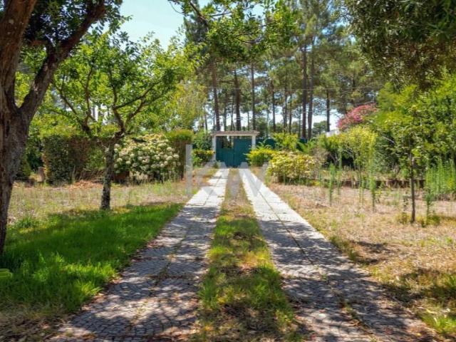 Terreno venda em Verdizela, Seixal