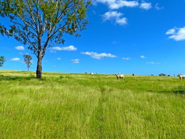 Cottage for sale in Nine Mile, Queensland