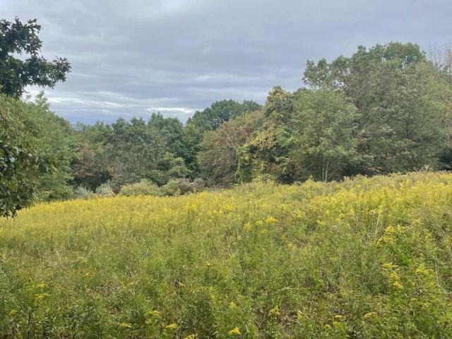 Land for sale in Pennsylvania