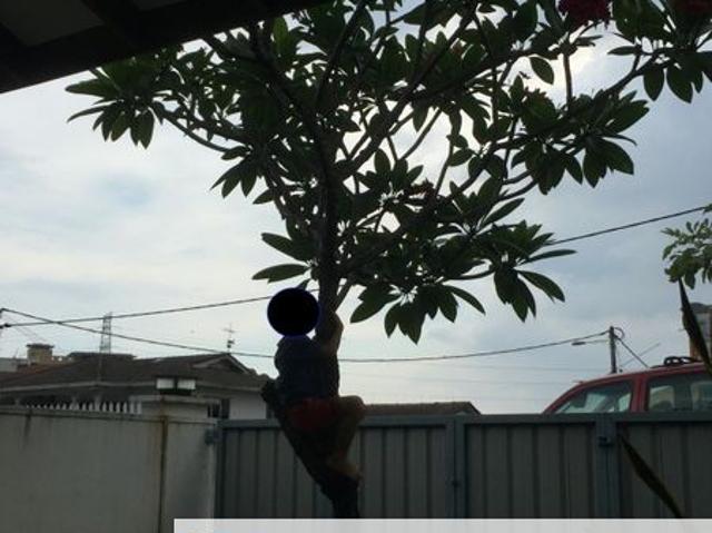 House for rent in Petaling, Damansara Damai