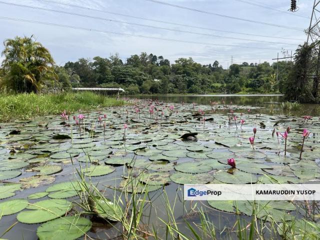 House for sale in Petaling, Alam Impian