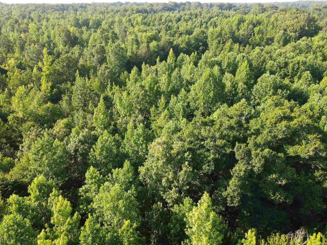 Land for sale in Tennessee